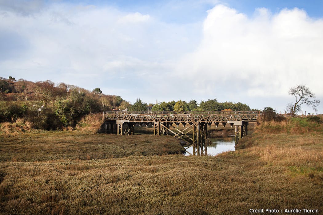 passerelle_de_la_cotiere_erquy.jpg