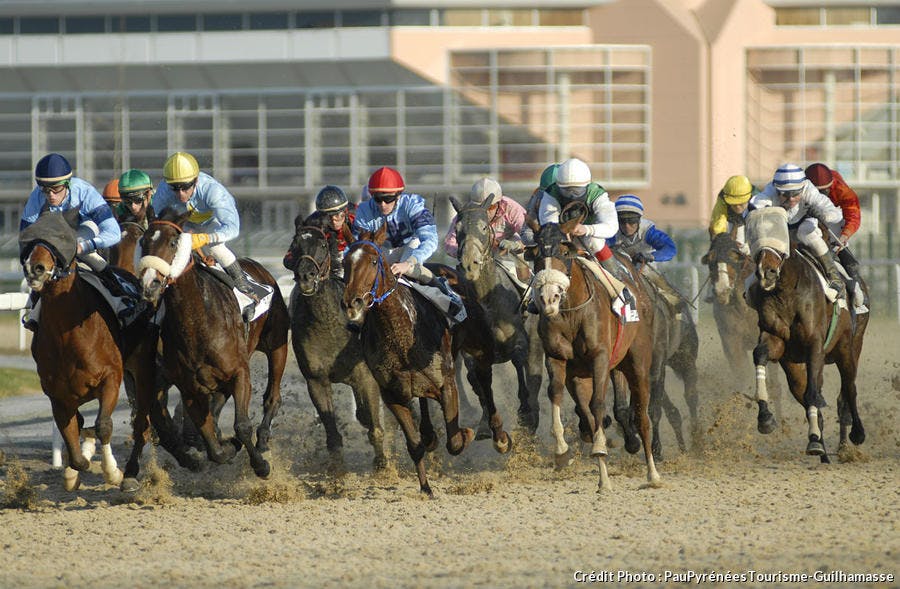 une course de chevaux à Pau