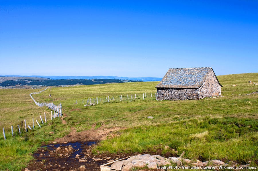 Paysage de l'Aubrac