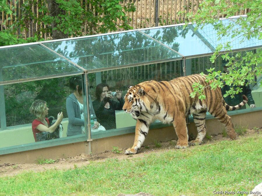 Zoo de France top 5 des plus beaux parcs animaliers D tours en