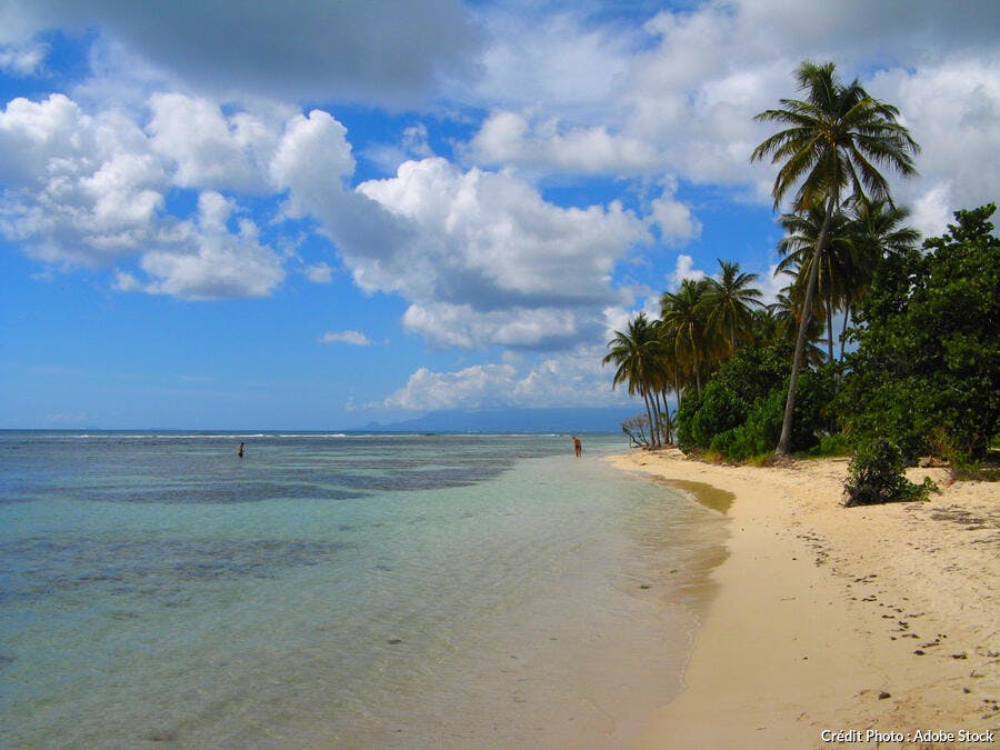 La plage de Bois-Jolan à Sainte-Anne (Guadeloupe)