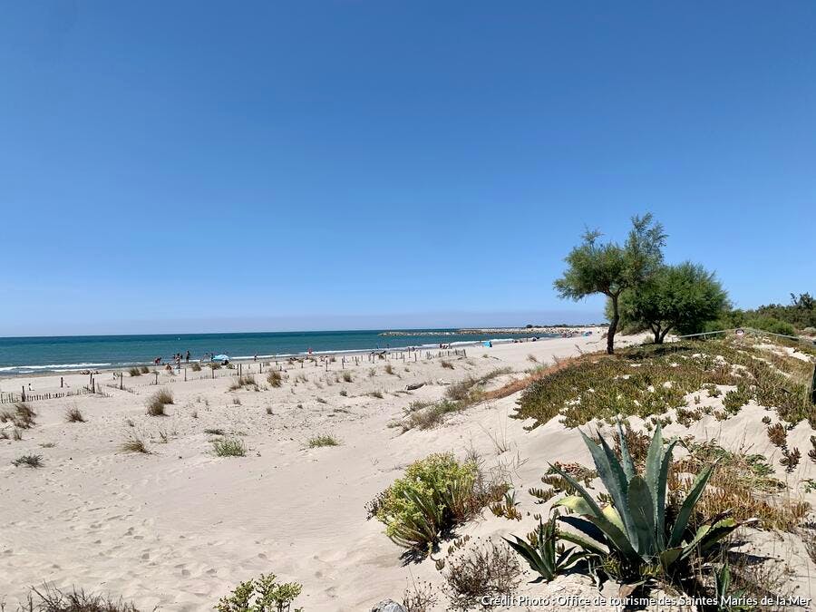 Plage du Crin Blanc, Saintes Maries de la Mer