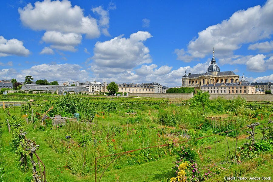 Potager du roi à Versailles