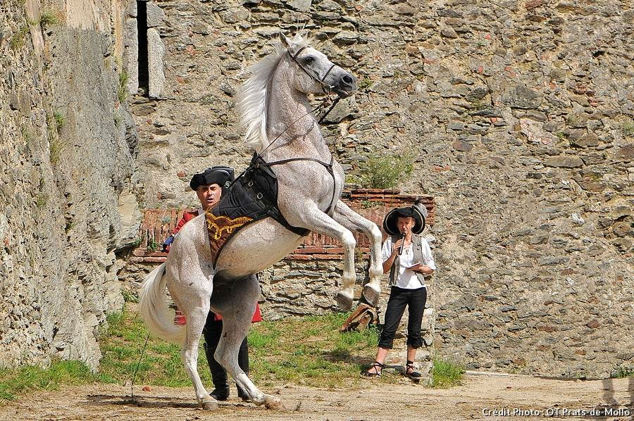 visite_animee_du_fort_ete_2015jacques_miot_.jpg