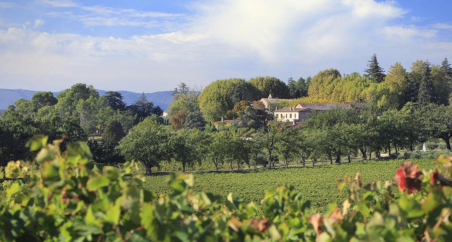 Domaine viticole du Château Sainte Roseline