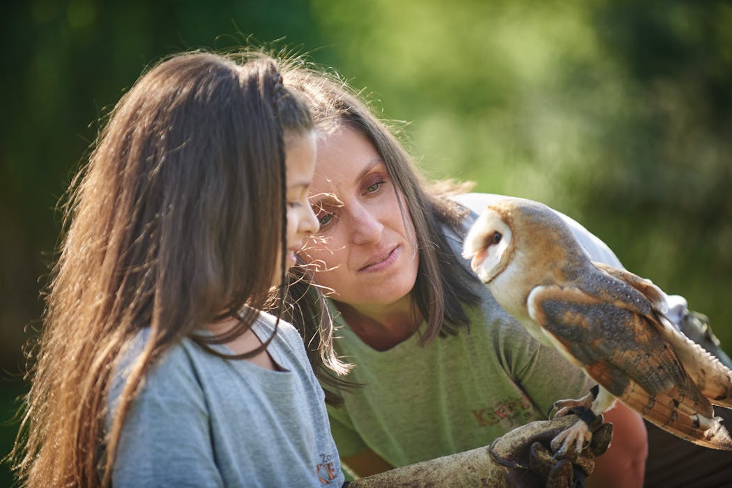 L'activité "soigneur d'un jour" au Zoo de la Flèche
