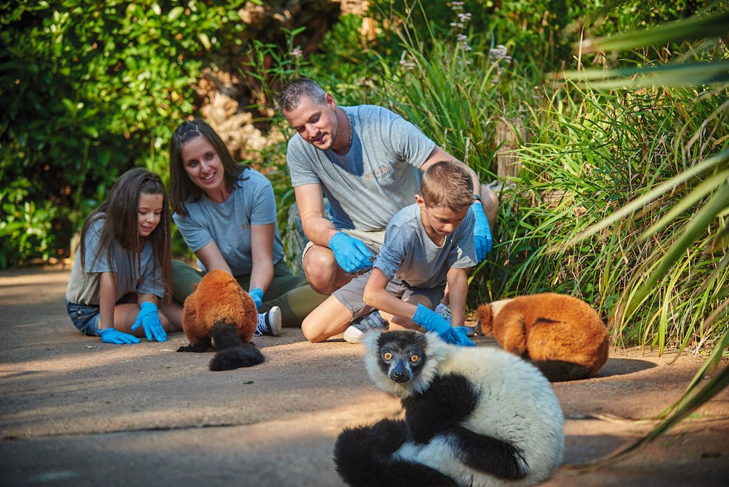 L'activité "soigneur d'un jour" au Zoo de la Flèche