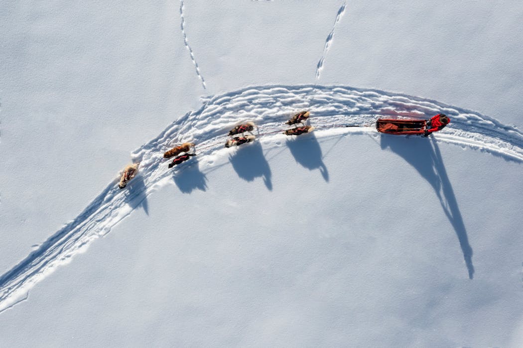Vue aérienne d'une balade en traîneau à chiens, sur le plateau des Glières, dans les Alpes.