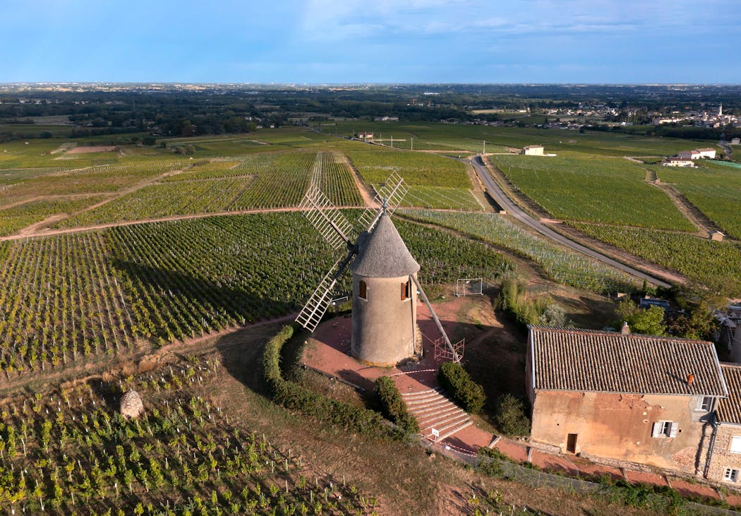 Le moulin à vent dans le domaine du Château du Moulin a Vent à Romanèche-Thorins dans le Beaujolais.