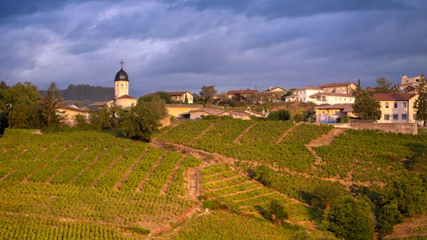 Au nord du Beaujolais, terre de grands noms du vin