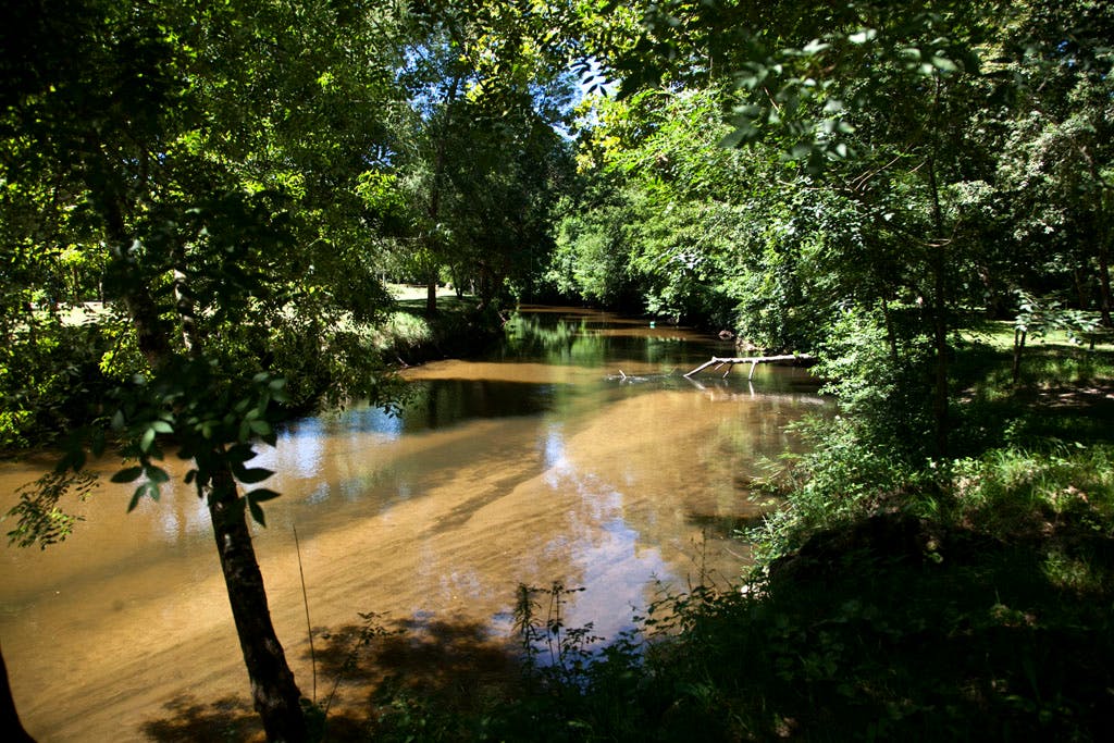 Le Ciron qui favorise le développement de la pourriture noble sur les raisins du vignoble de Sauternes.