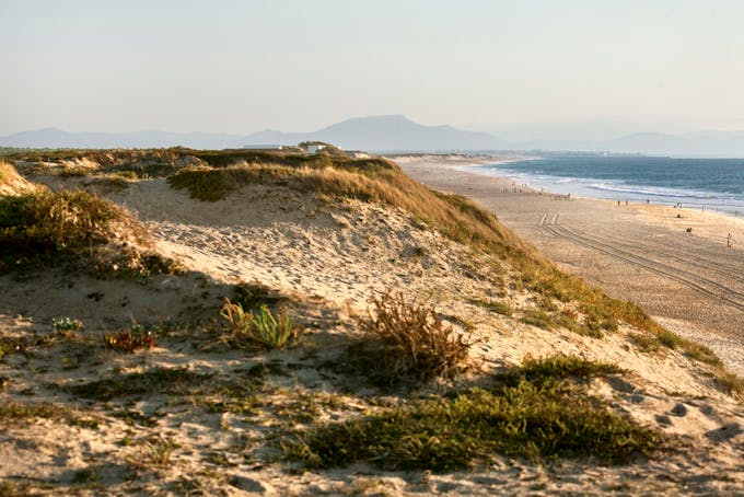 Les dunes de la plage des Océanides à Capbreton dans les Landes.