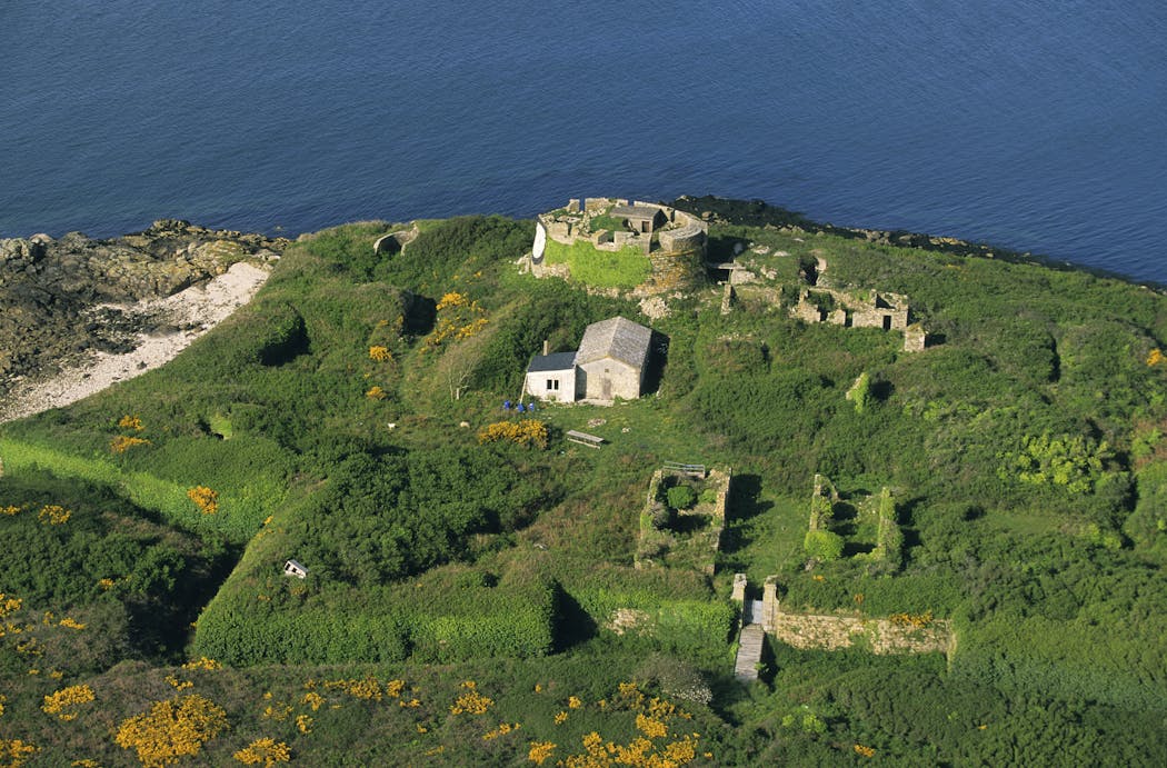 Île Cézon