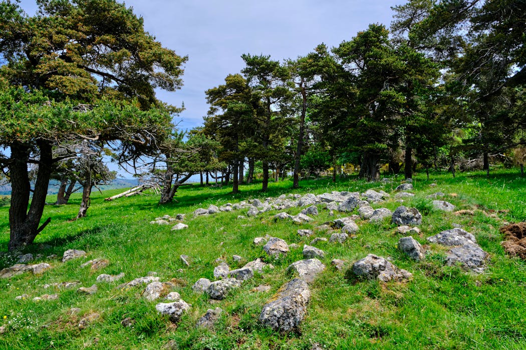 Des tumulus funéraires sur le plateau du Cézallier dans le Cantal.