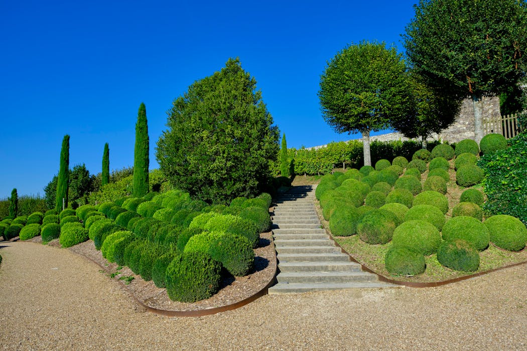 Balade dans le jardin du château d'Amboise Amboise110