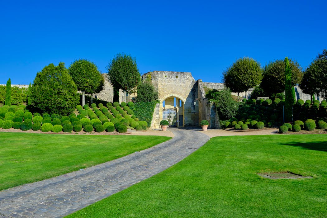 Balade dans le jardin du château d'Amboise Amboise111