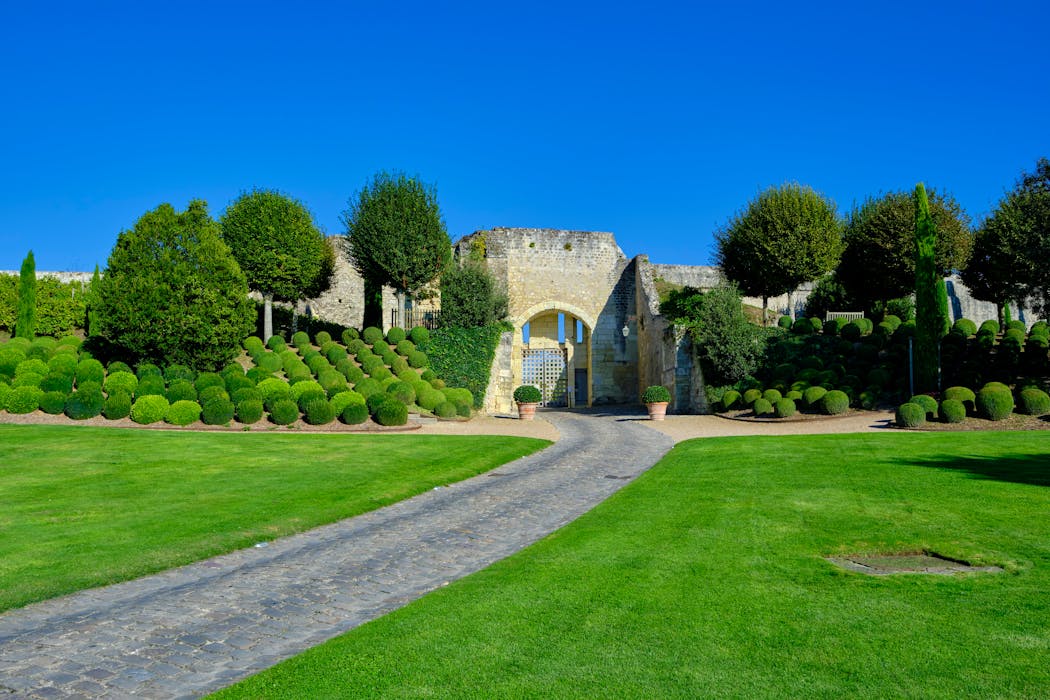 La porte des Lions du château d'Amboise