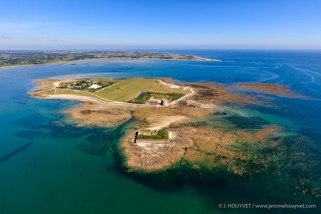 La « perle des perles du val de Saire » : l'île de Tatihou, classée « site ornithologique majeur».