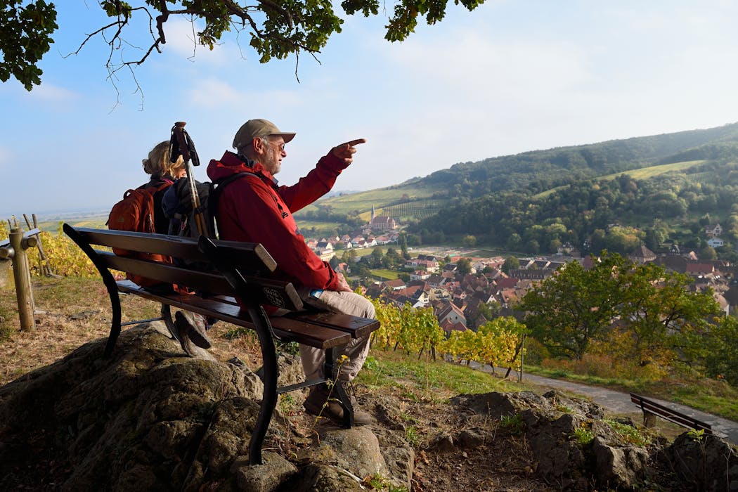 La cité viticole d’Andlau est une étape incontournable sur les chemins d’Alsace. Ses ruelles pittoresques, ses châteaux, sa chapelle Saint-André du xiiie siècle valent largement le détour sur cette fin de boucle.
