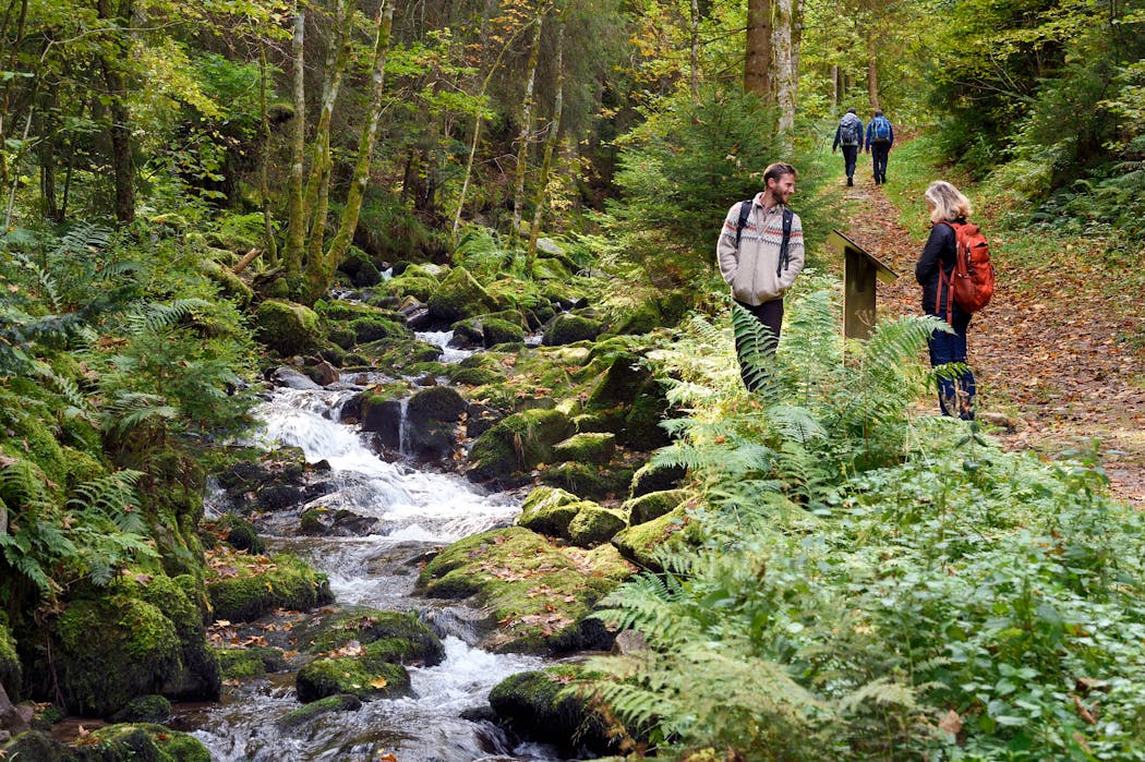 Le sentier des panoramas et ses panneaux d’interprétation nous en apprennent plus sur cette jolie commune et ses alentours.