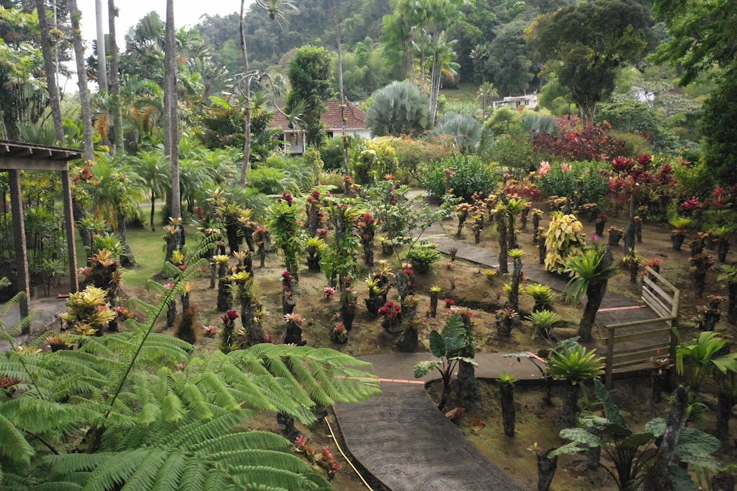 Jardin de Balata