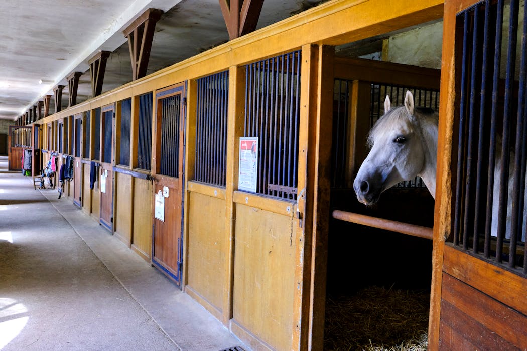 Haras national de Pompadour