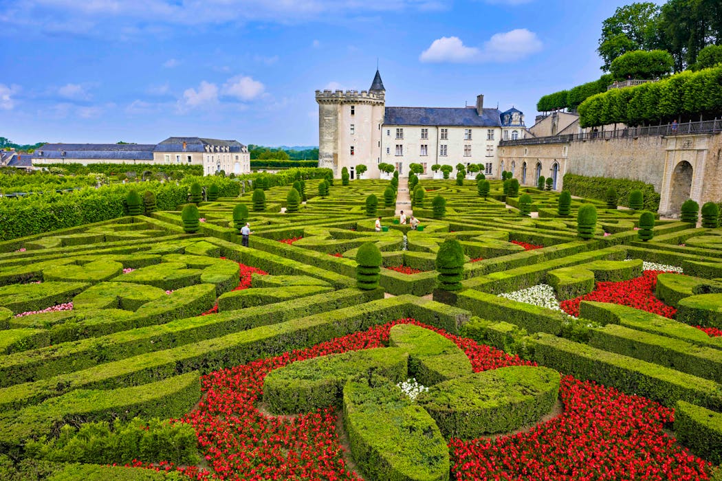 Visite des jardins de Villandry, en compagnie du chef jardinier Anthony Coué