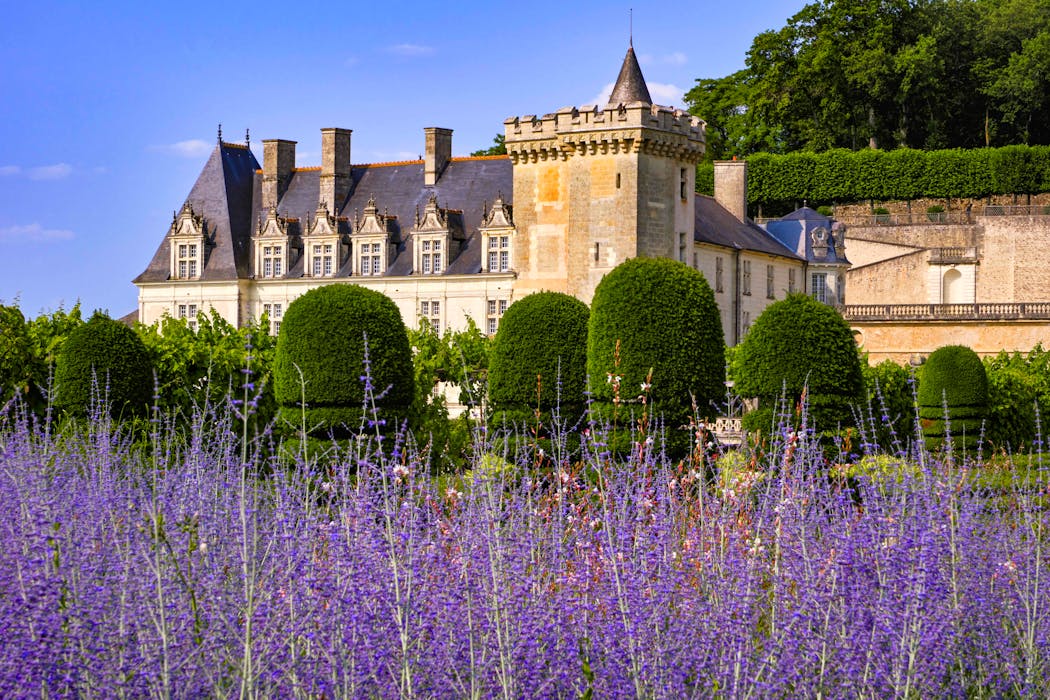 Vue sur le château de Villandry depuis les jardins.