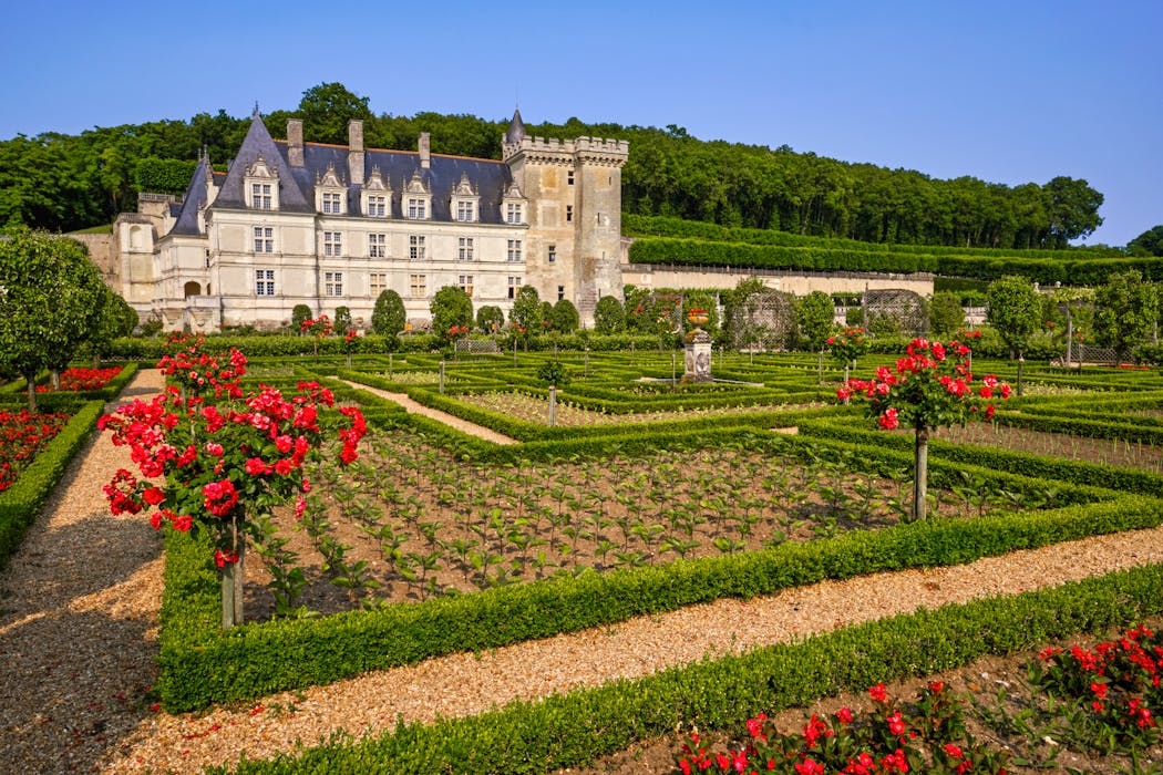 Vue sur le château depuis le jardin luxuriant.