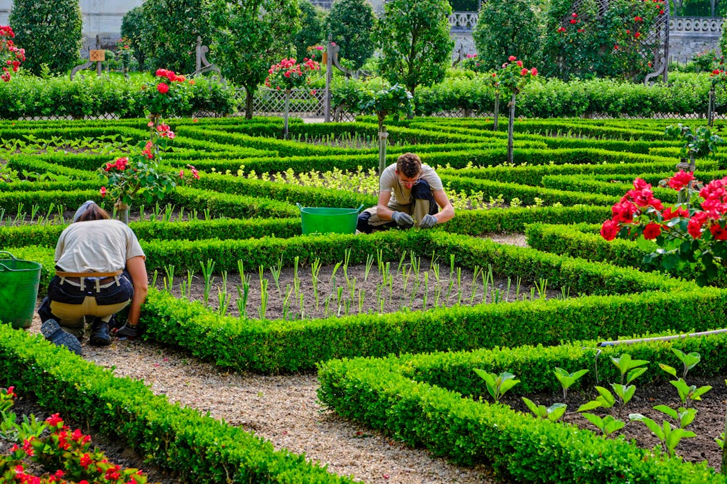 Potager, labyrinthe, jardins d’eau et du Soleil... en tout, ce sont sept espaces verts dessinés par Joachim Carvallo au début du xxe siècle qui entourent le château.