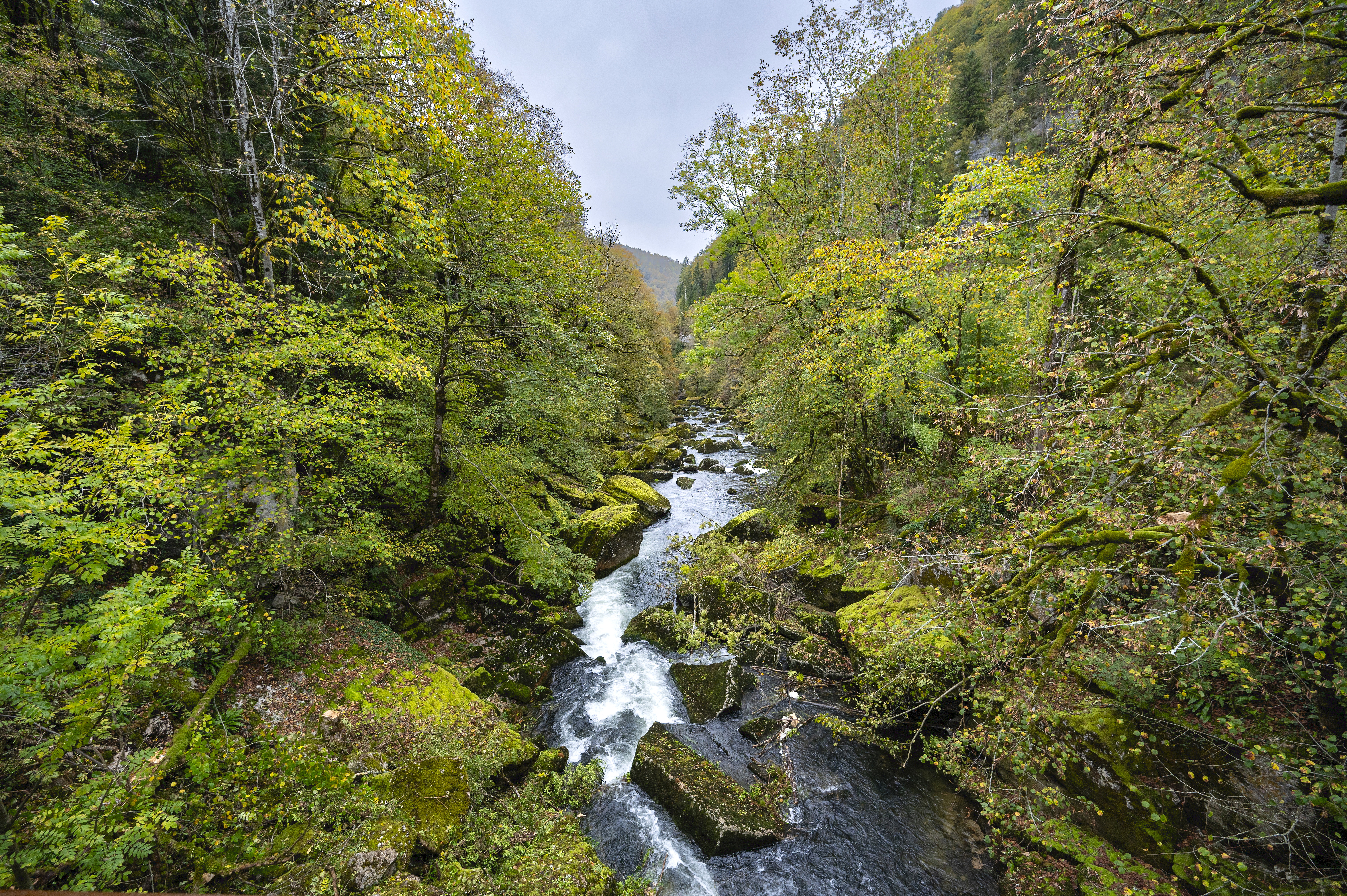 Le barrage naturel de la Goule, dans les gorges du Doubs, est issu d’un énorme éboulement survenu en octobre 1356, lors du violent séisme qui secoua la Haute-Alsace.