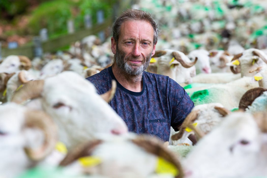 Jean-Michel – de la ferme Peotenia, à Saint-Jean- le-Vieux – nous invite à découvrir son métier de berger et à redescendre ses quelque 400 brebis tarasconaises jusqu’au corral.