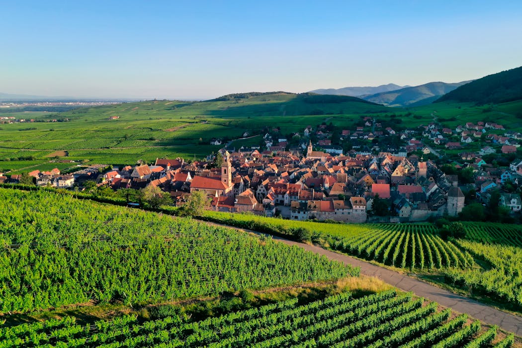 Riquewihr au milieu des vignes d'Alsace