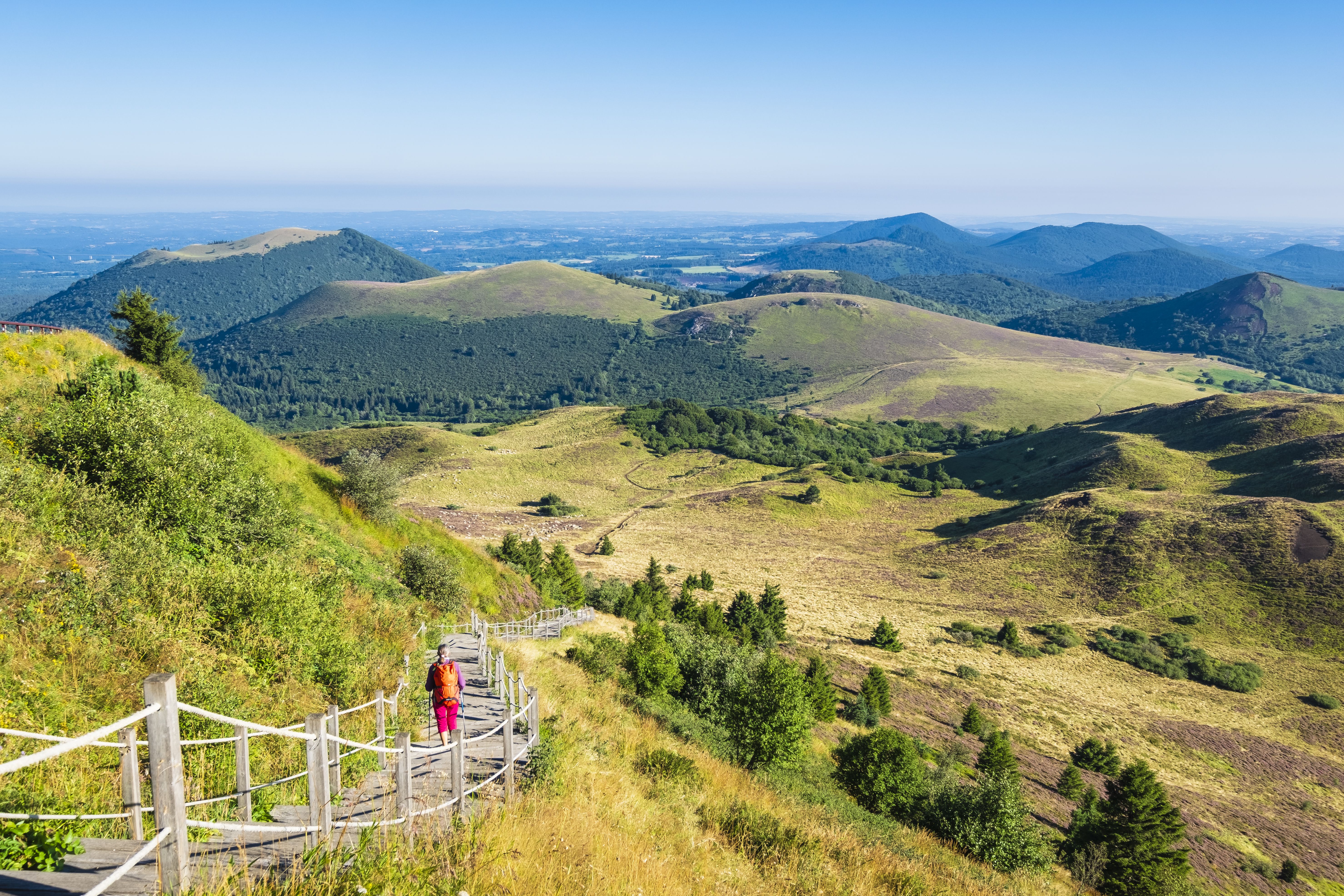 le raide sentier des Chèvres, aménagé en escalier sur certains tronçons, traverse une forêt avant de déployer un panorama ébouriffant sur le puy de Côme, le Pariou, le Grand et le Petit Suchet.