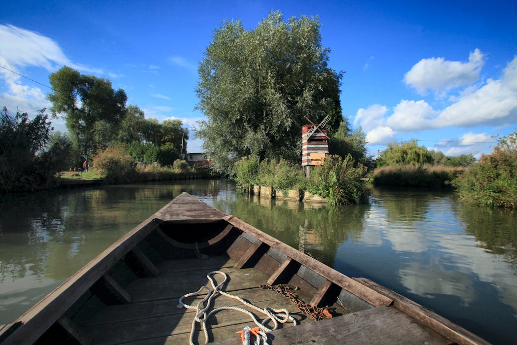 La bacôve est une grande barque traditionnelle à fond plat dont se servaient autrefois les maraîchers pour rejoindre leur parcelle et transporter leurs légumes.
