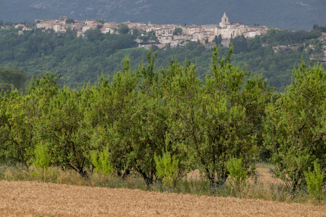 Le village de Vénasque dans le Vaucluse