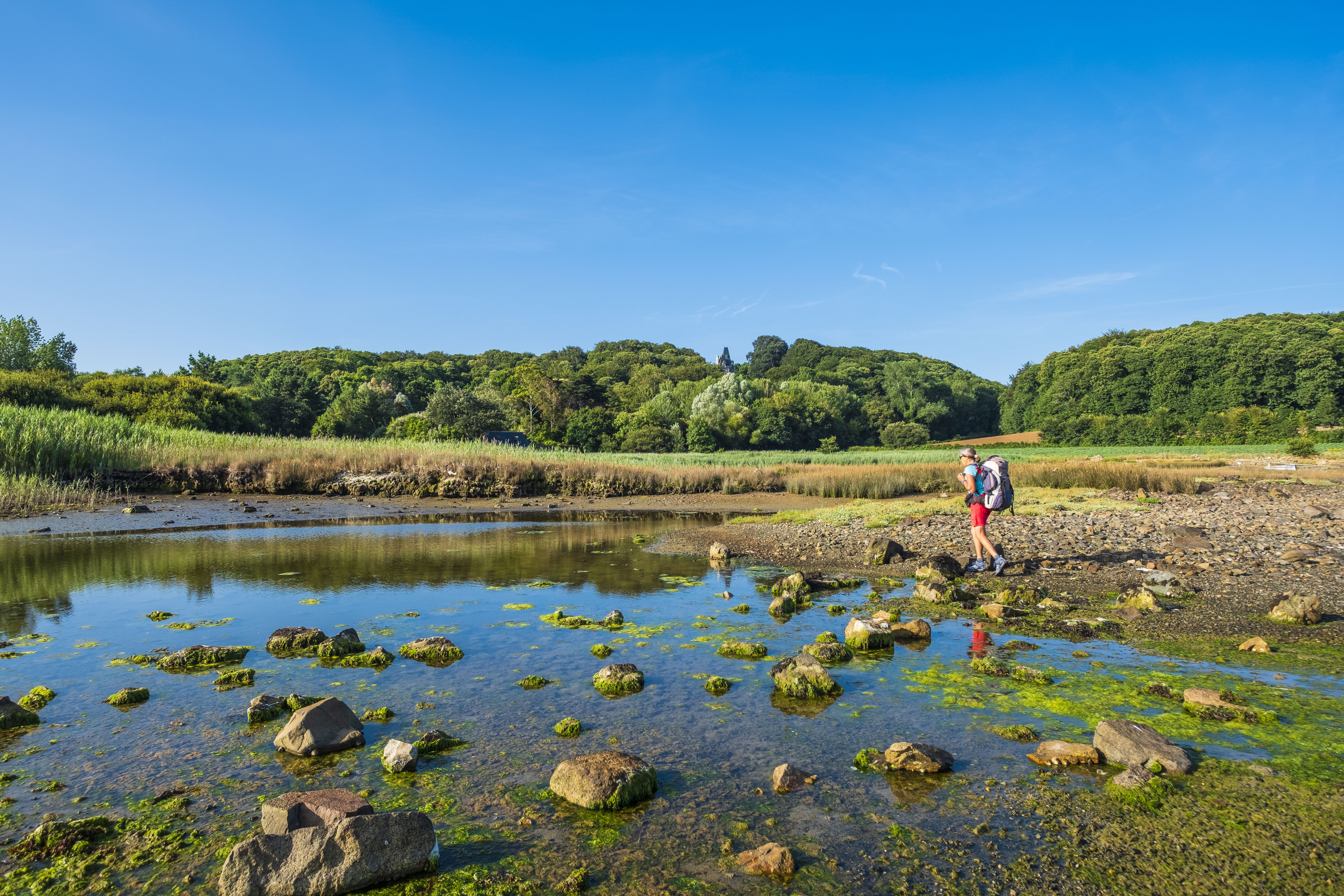 L’anse de Pellinec, à suivre sur le chemin du GR34 à marée basse, permet d’observer les oiseaux migrateurs qui apprécient la microfaune des vasières.