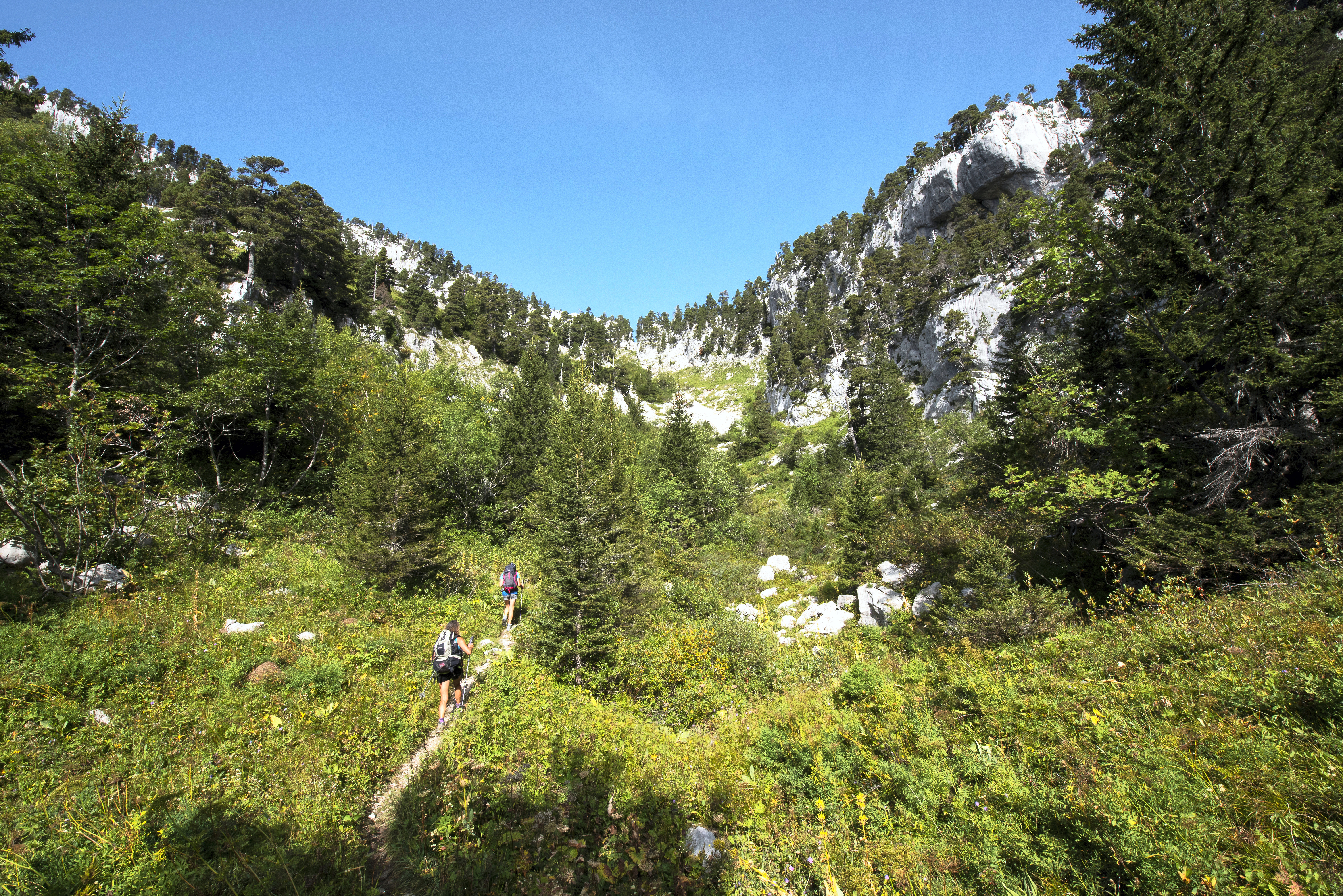 Rejoindre le Parmelan par le col du Pertuis. Une très belle boucle sur les crêtes boisées.