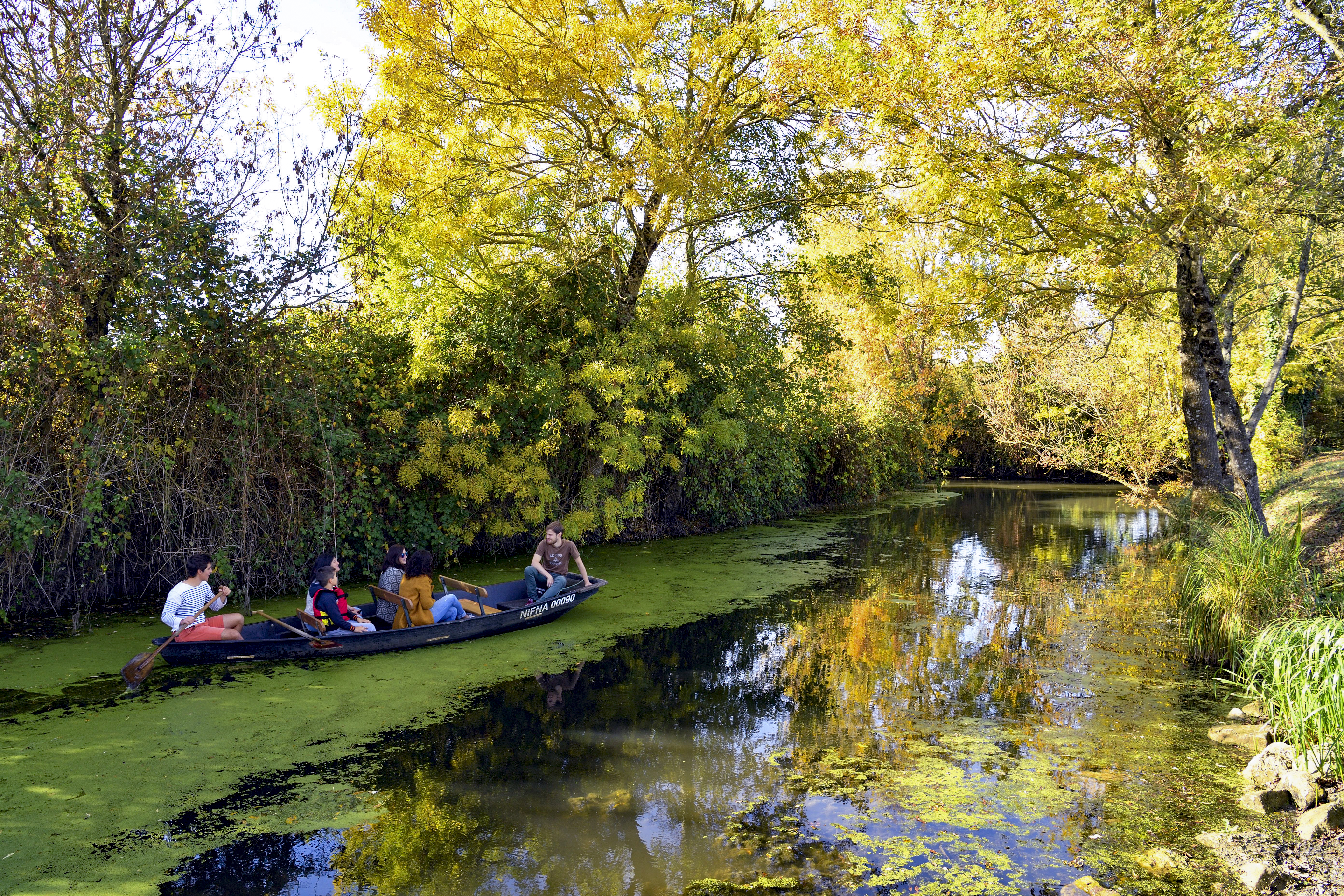 Traversée paisible, en barque, dans la jungle aquatique du marais poitevin.