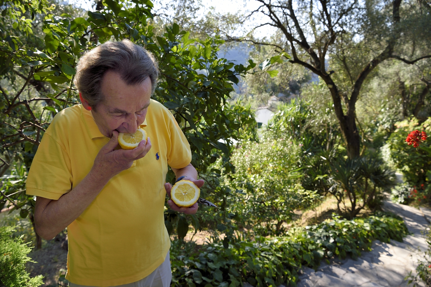 Menton, le domaine de la Citronneraie, son créateur François Mazet, le Citron de Menton n’est pas ciré et ne subit aucun traitement chimique après la récolte