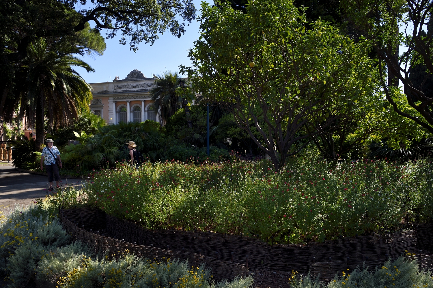 Menton, Jardin du Palais de Carnolès, son parc botanique abrite la plus importante collection d’agrumes d’Europe