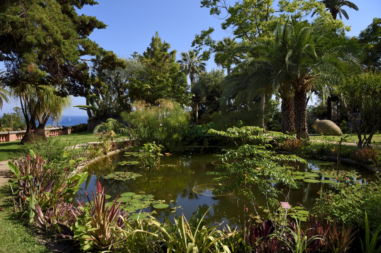 Menton, Jardin botanique exotique du Val Rahmeh, bassin aux nénuphares