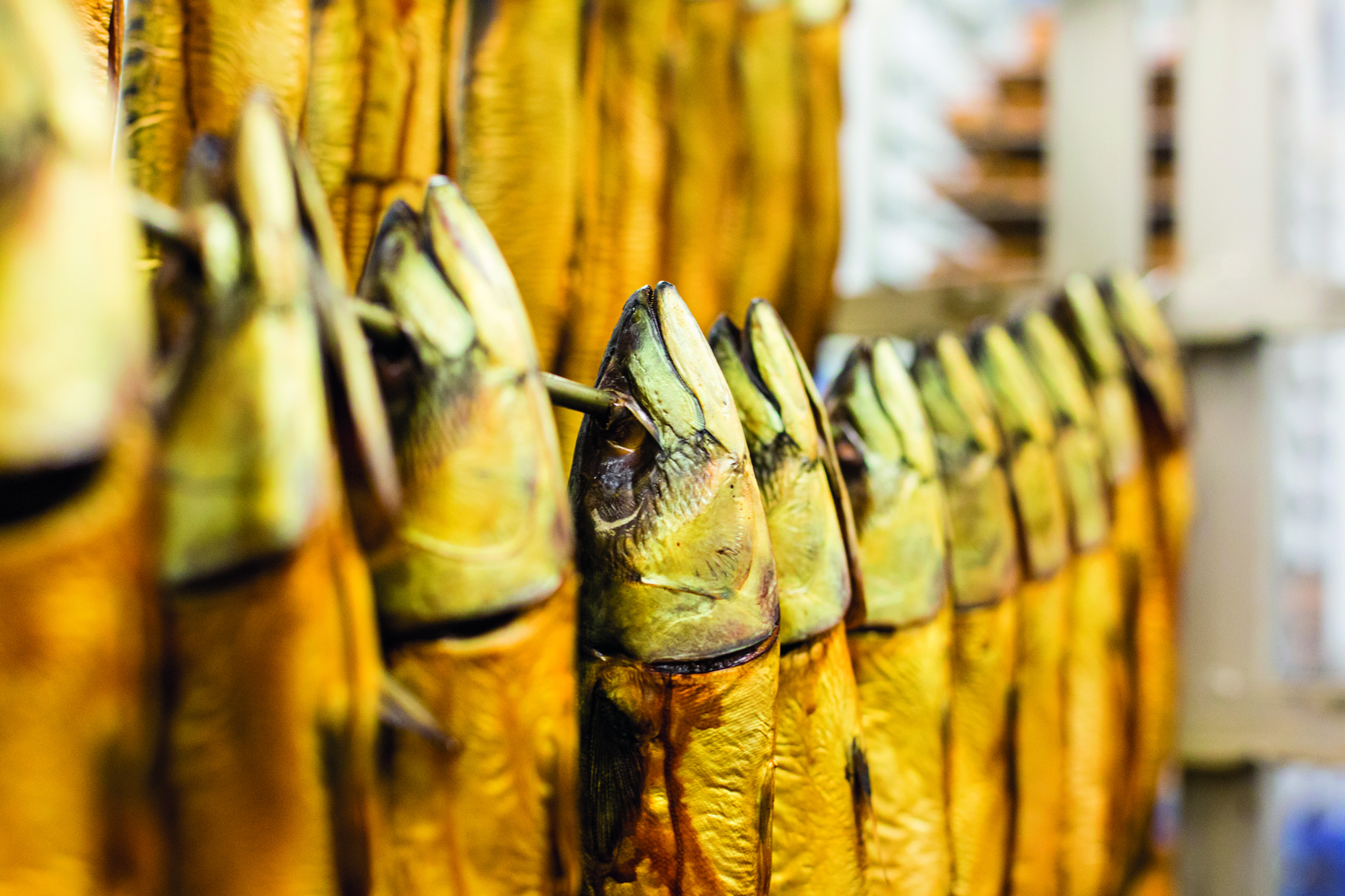 Fabrication des harengs Est Friture