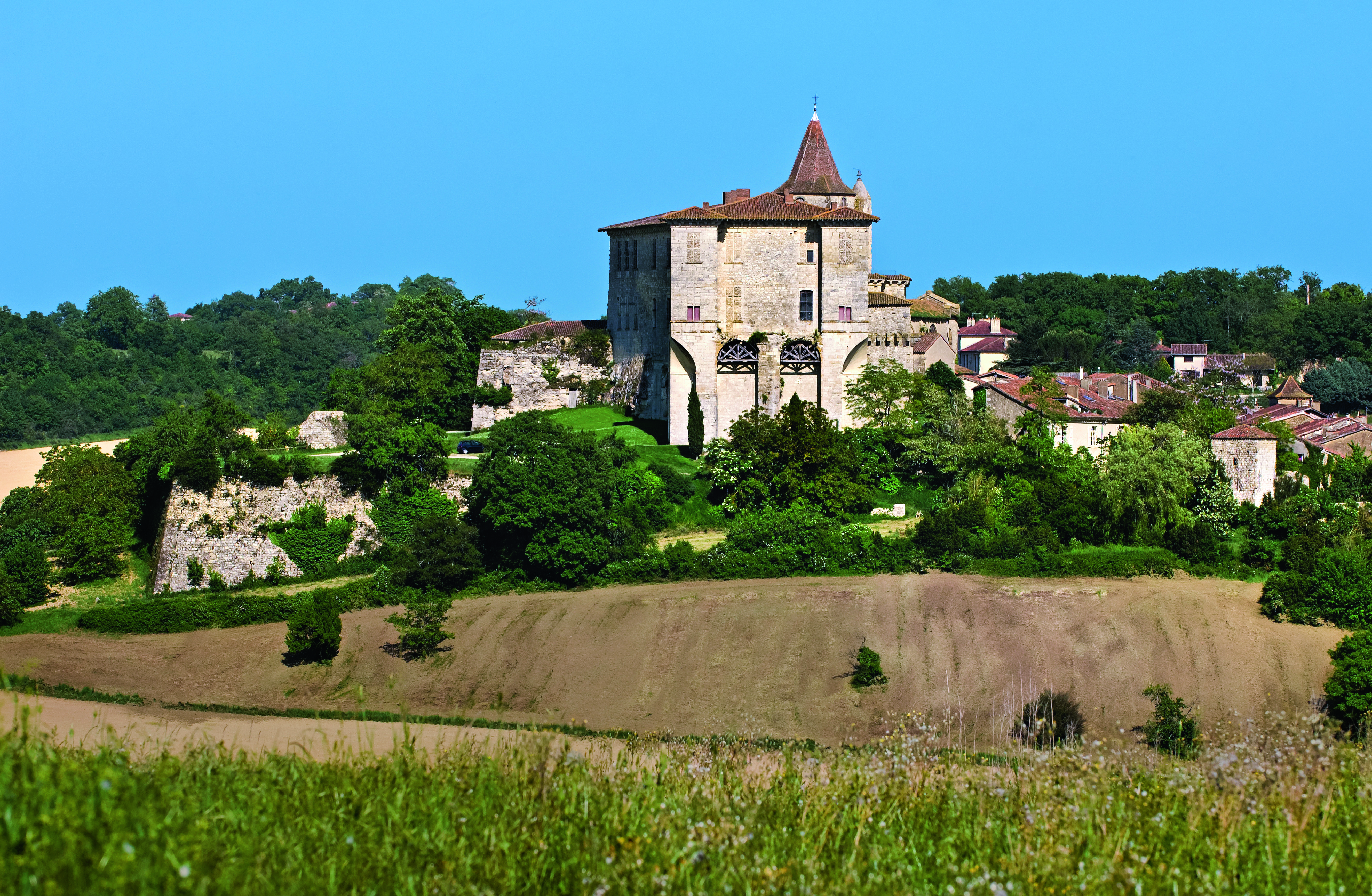 CHATEAU, LAVARDENS, GERS,   ARMAGNAC, GASCOGNE, MIDI PYRENEES, FRANCE.