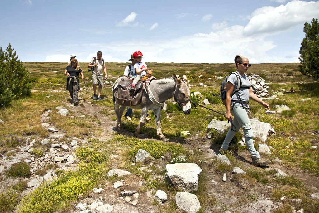 Direction le village de Finiels, sur la commune du Pont-de- Montvert pour une soirée étape chaleureuse et reposante avant la dernière journée de randonnée.