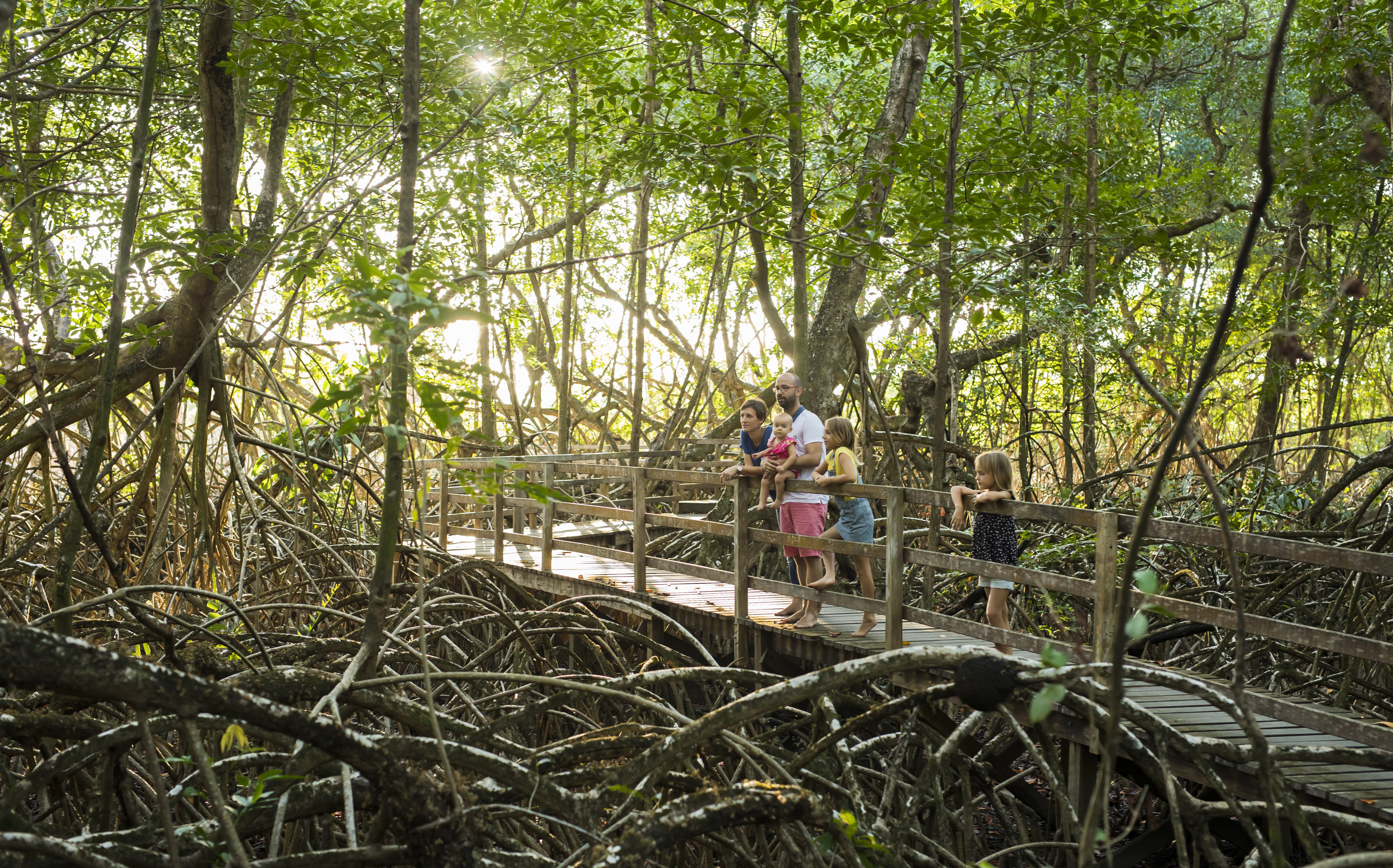 Les salines de Montjoly