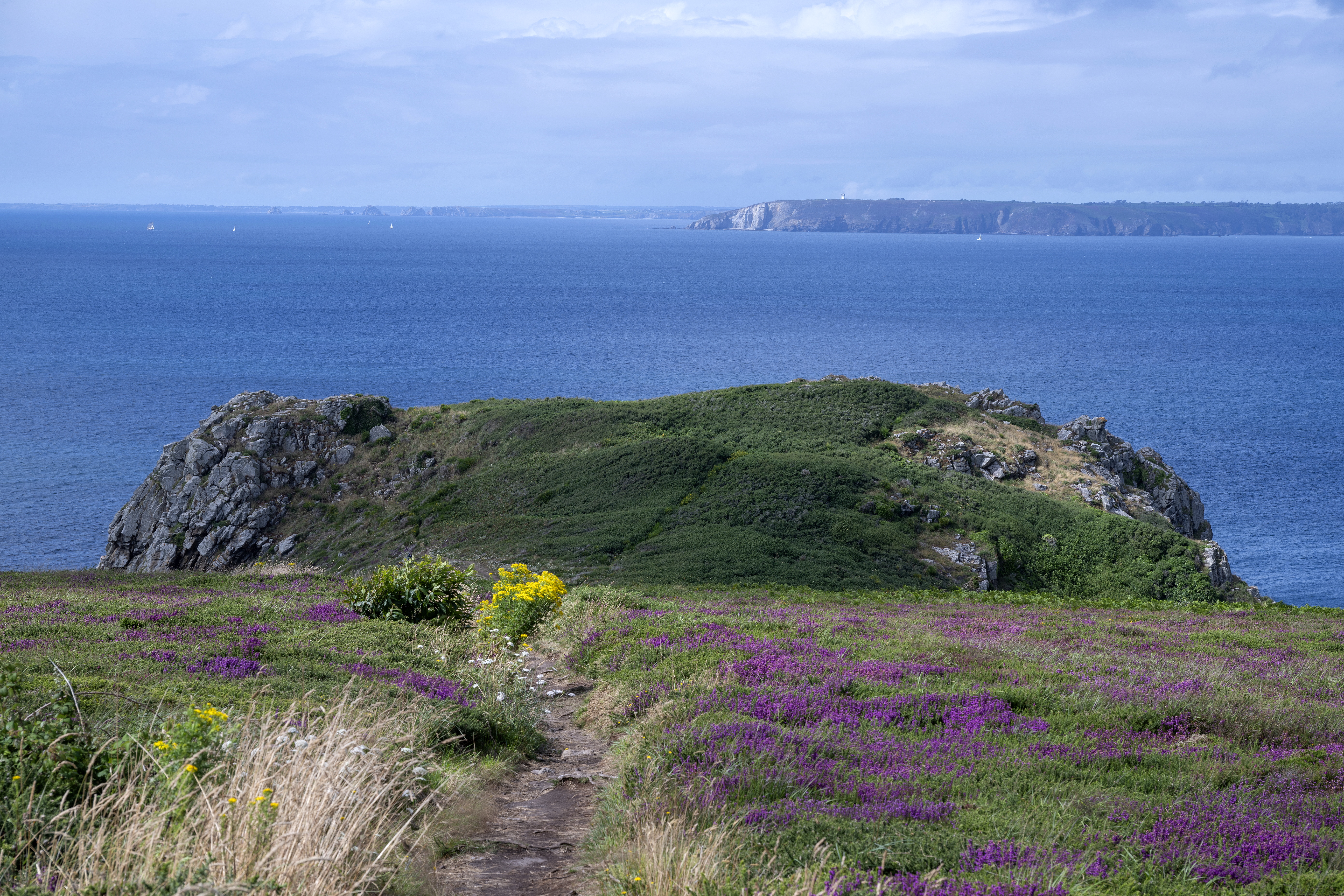 Après trois heures de marche, nous voilà à la pointe de Kastel Koz qui déroule de hautes falaises escarpées et un paysage de lande détonant.