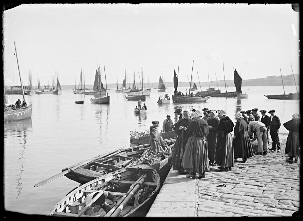 Sardinières sur le port de Douarnenez