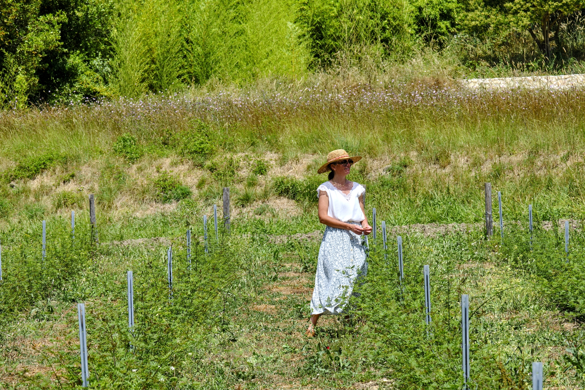 Balade dans la pépinière des Fleurs d’exception du pays de Grasse, en compagnie de sa directrice Laetitia Lycke. L’association s’est donné pour mission de promouvoir et de transmettre le savoir-faire des producteurs de plantes à parfum.
