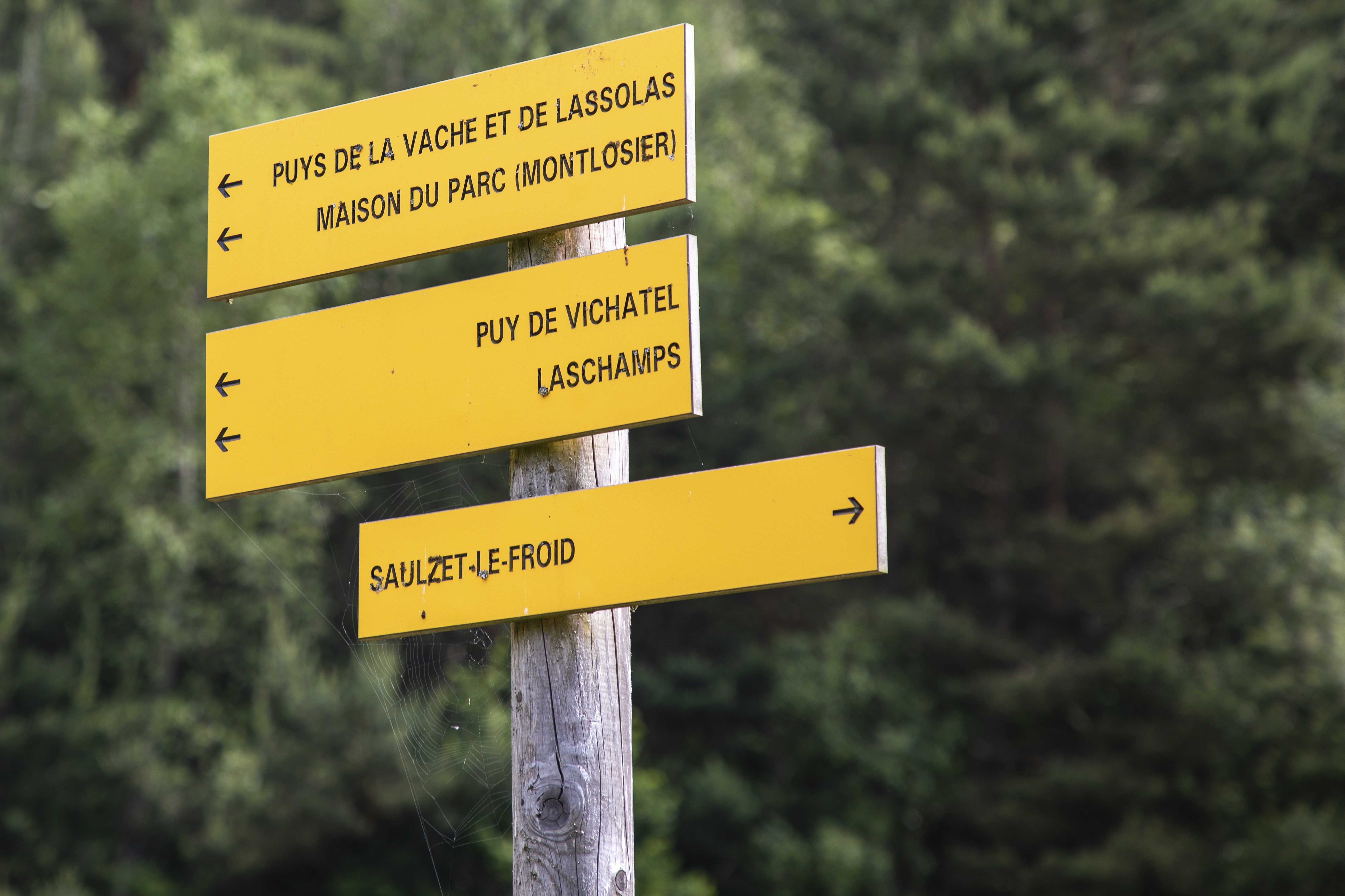 L’accès au sommet du puy de Vichatel est facilité par le chemin balisé qui part du col de la Ventouse, aménagé par le parc naturel régional des Volcans d’Auvergne. 